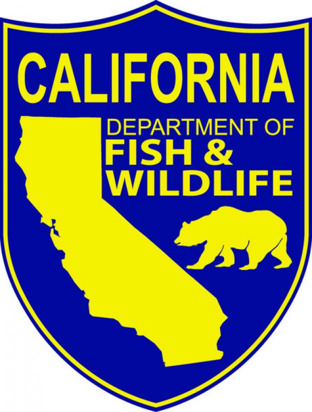 This is how to find out where, when the CDFW stocks California waters with  fish